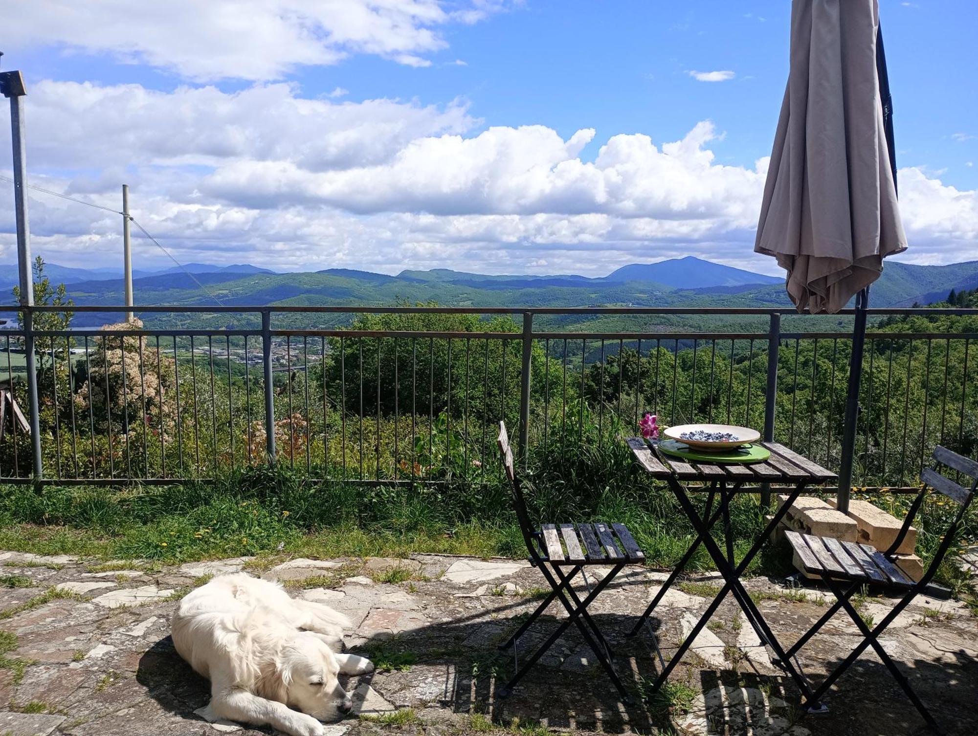 Il Podere Di Massi Barberino di Mugello Zimmer foto